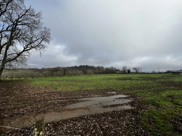 Terrains à bâtir à 5 min de Saint-Cyprien - Périgord Noir