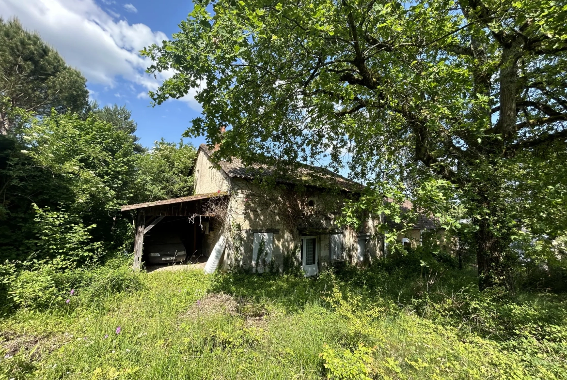 Maison en Pierre à Rénover - Antonne et Trigonant 