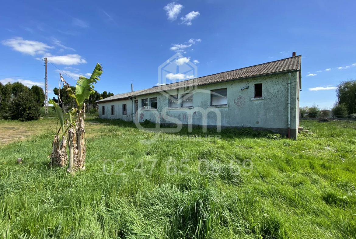 Pavillon 4 pièces sur 3489 M2 de terrain à Pouzay 