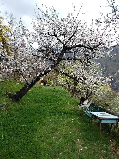 Maison de Village Indépendante à Belvédère avec Jardin Potager 