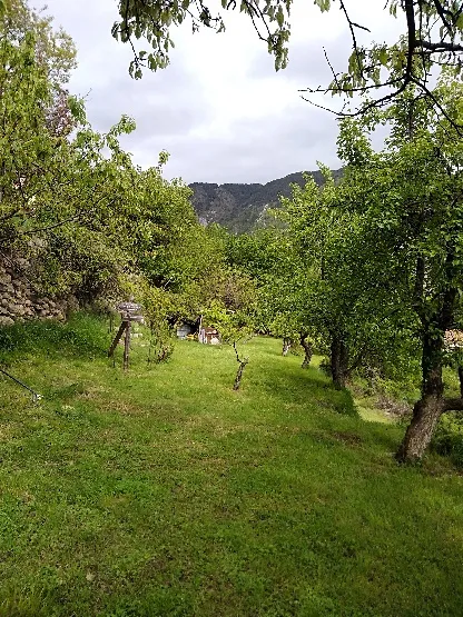 Maison de Village Indépendante à Belvédère avec Jardin Potager 