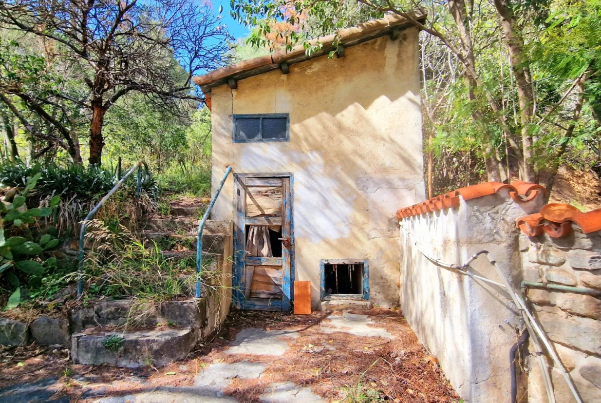 Ensemble Maison T4 avec Jardin et Immeuble de 6 Studios à Rénover 