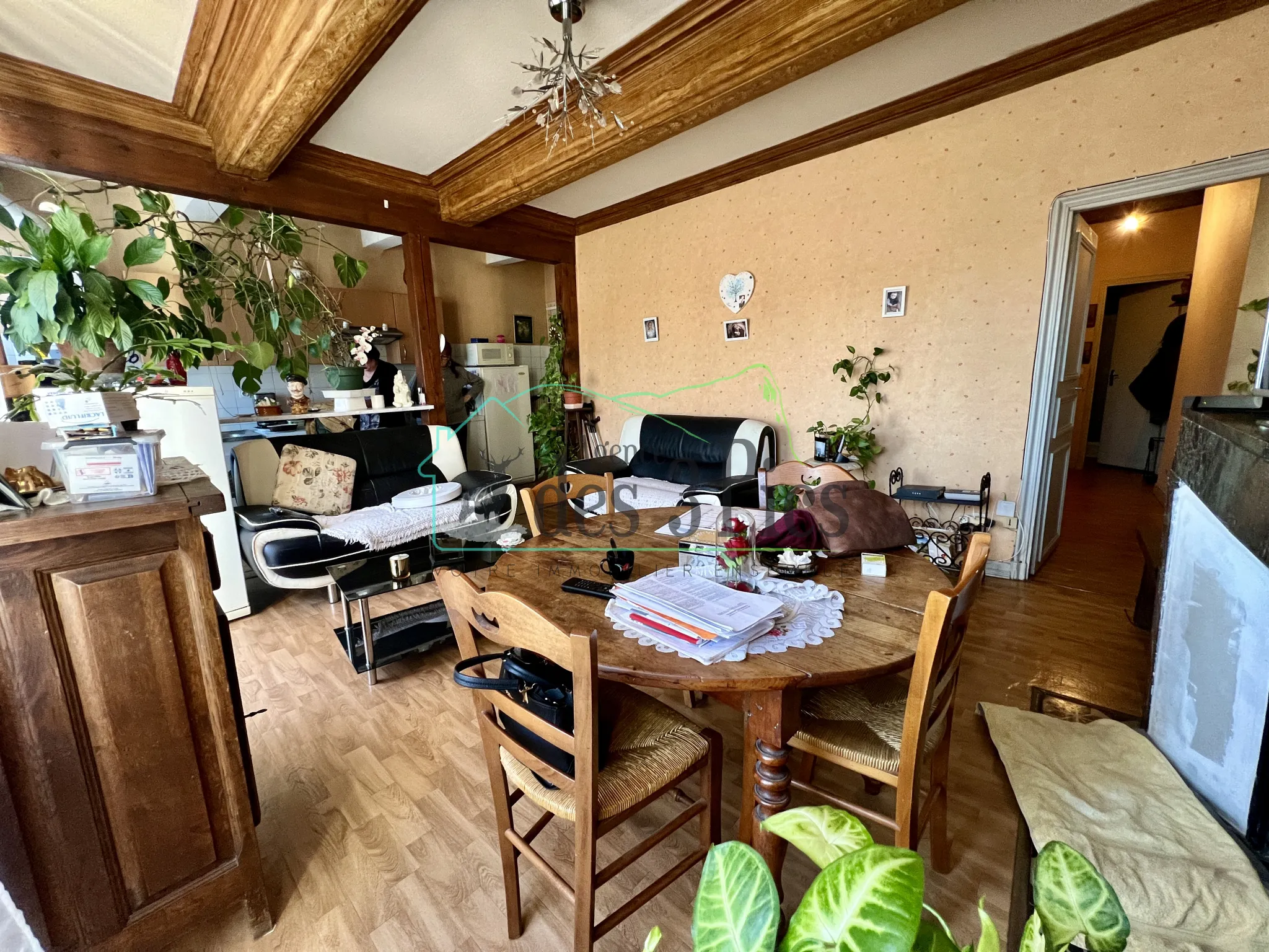 Immeuble de rapport, 3 appartements, Salies-du-salat 