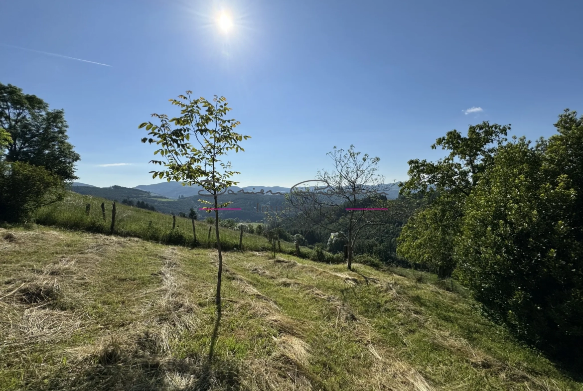 Charmante maison en pierre avec vue dégagée 