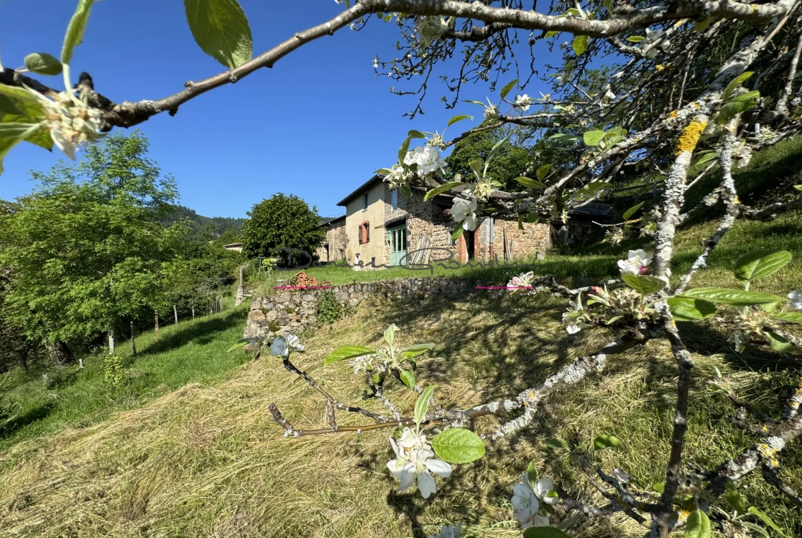 Charmante maison en pierre avec vue dégagée 