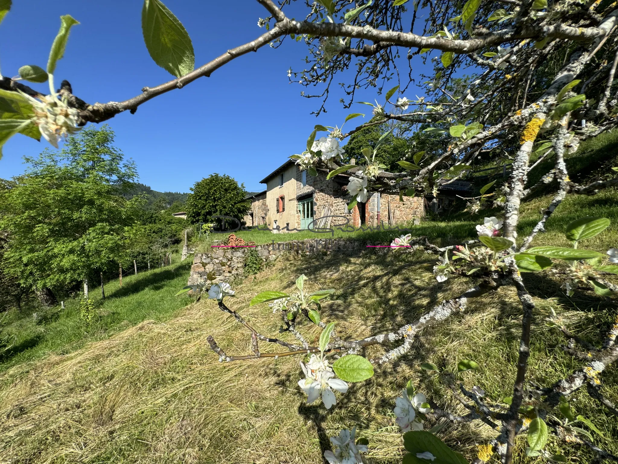 Charmante maison en pierre avec vue dégagée 