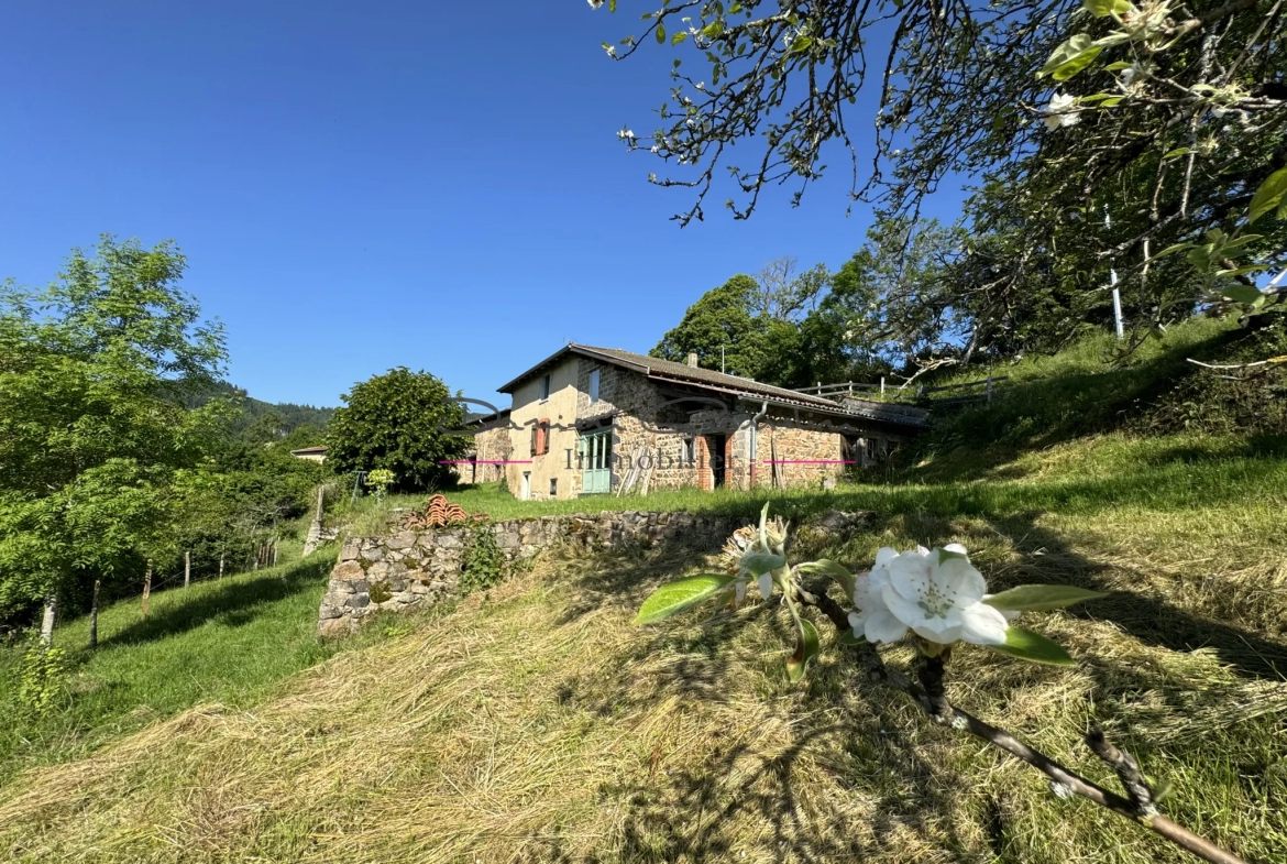 Charmante maison en pierre avec vue dégagée 