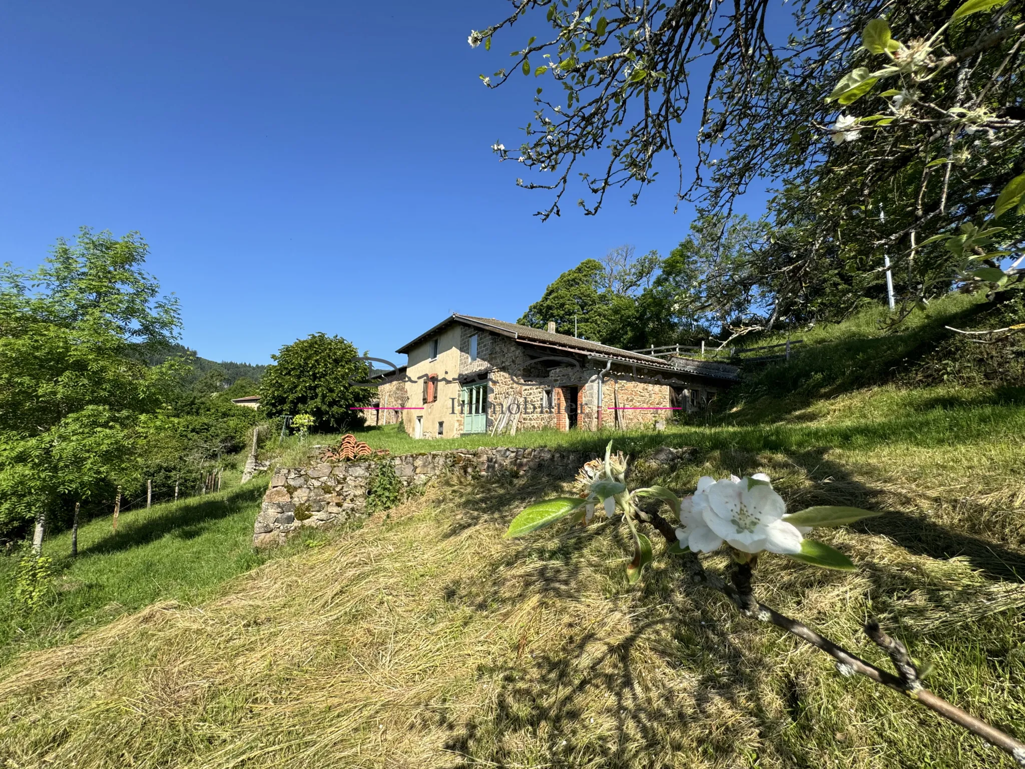 Charmante maison en pierre avec vue dégagée 