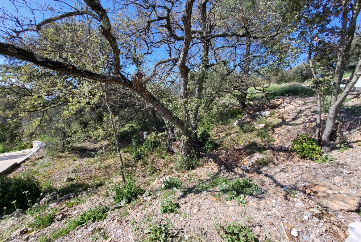 Terrain viabilisé à Pierrefeu du Var 