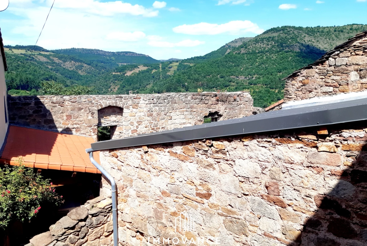 Maison de village en pierre avec vue sur la vallée à Montjaux 