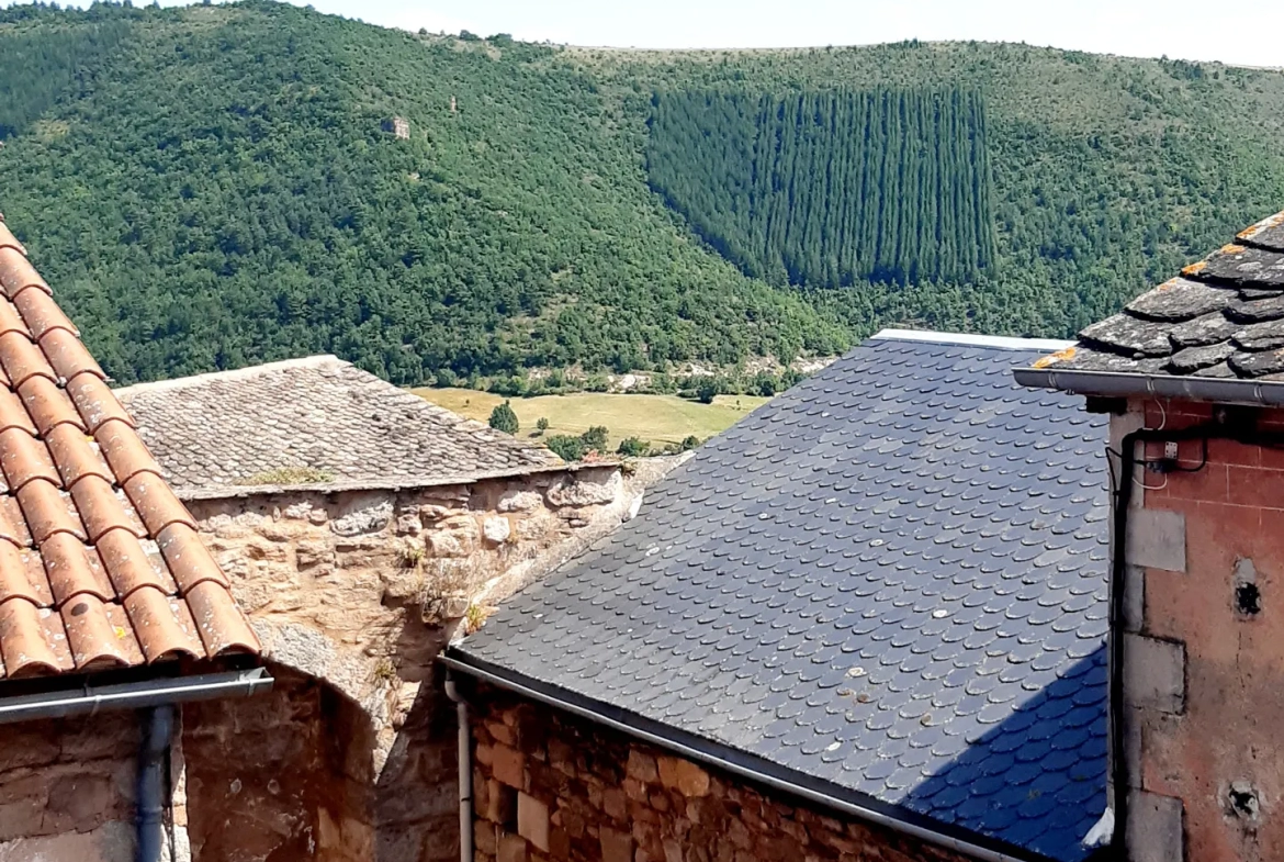 Maison de village en pierre avec vue sur la vallée à Montjaux 