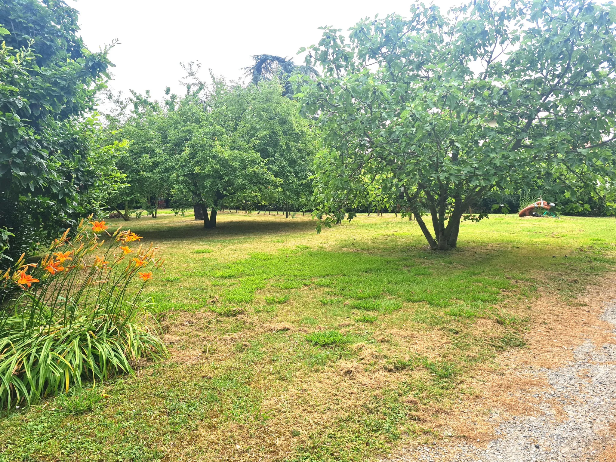 Terrain plat de 1494m2 viabilisé à Lézat-Sur-Lèze 