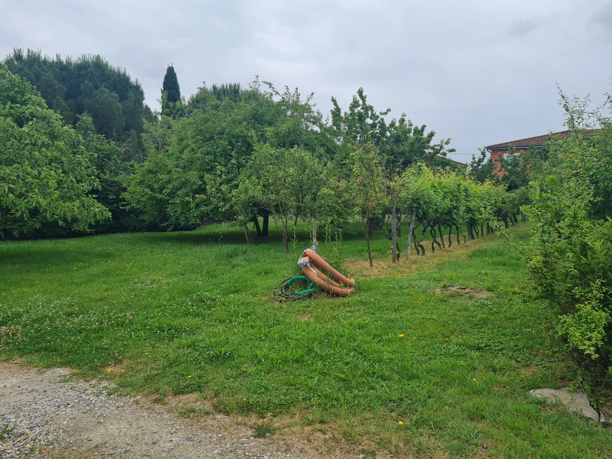 Terrain plat de 1494m2 viabilisé à Lézat-Sur-Lèze 