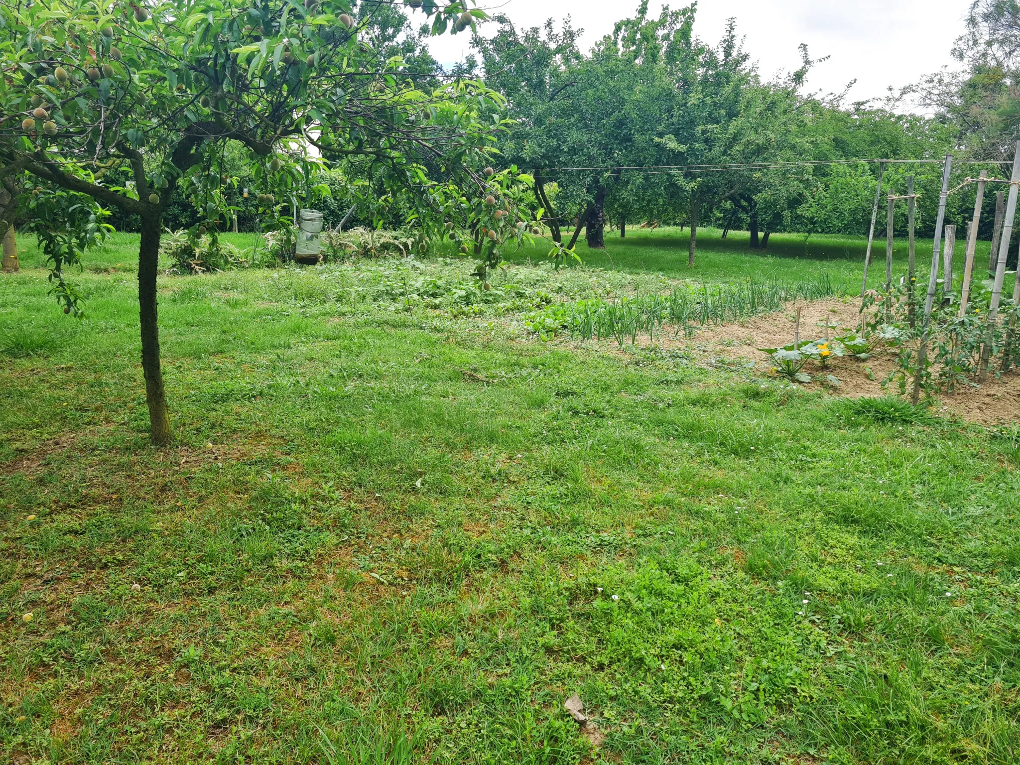 Terrain plat de 1494m2 viabilisé à Lézat-Sur-Lèze 