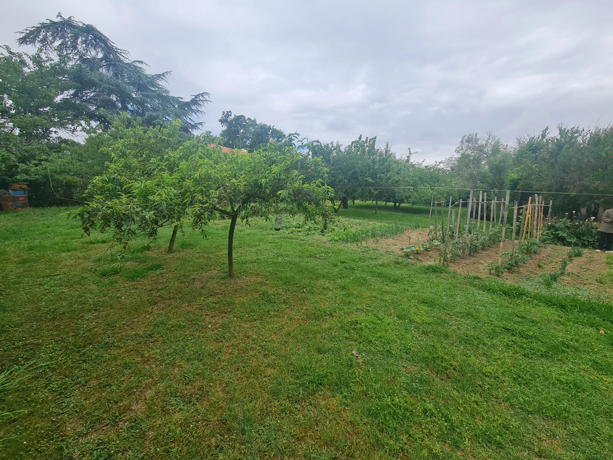 Terrain plat de 1494m2 viabilisé à Lézat-Sur-Lèze 