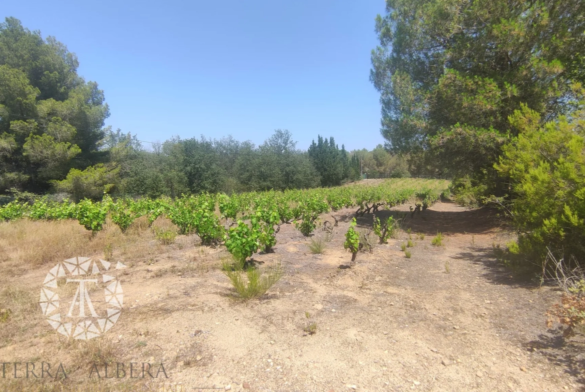 Terrain de loisir au calme à Saint Genis des Fontaines 