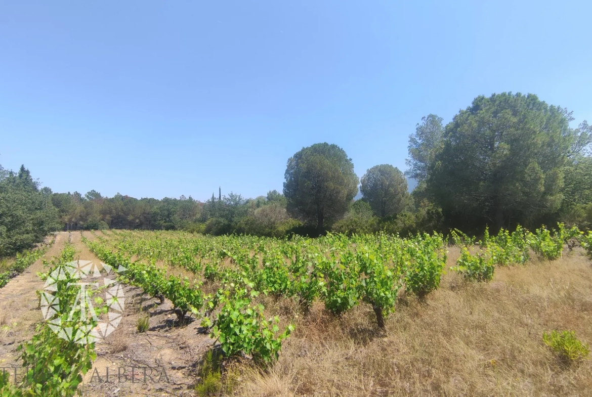 Terrain de loisir au calme à Saint Genis des Fontaines 