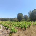 Terrain de loisir au calme à Saint Genis des Fontaines