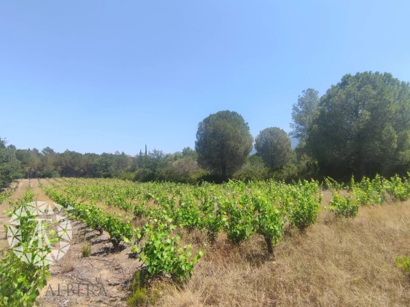 Terrain de loisir au calme à Saint Genis des Fontaines