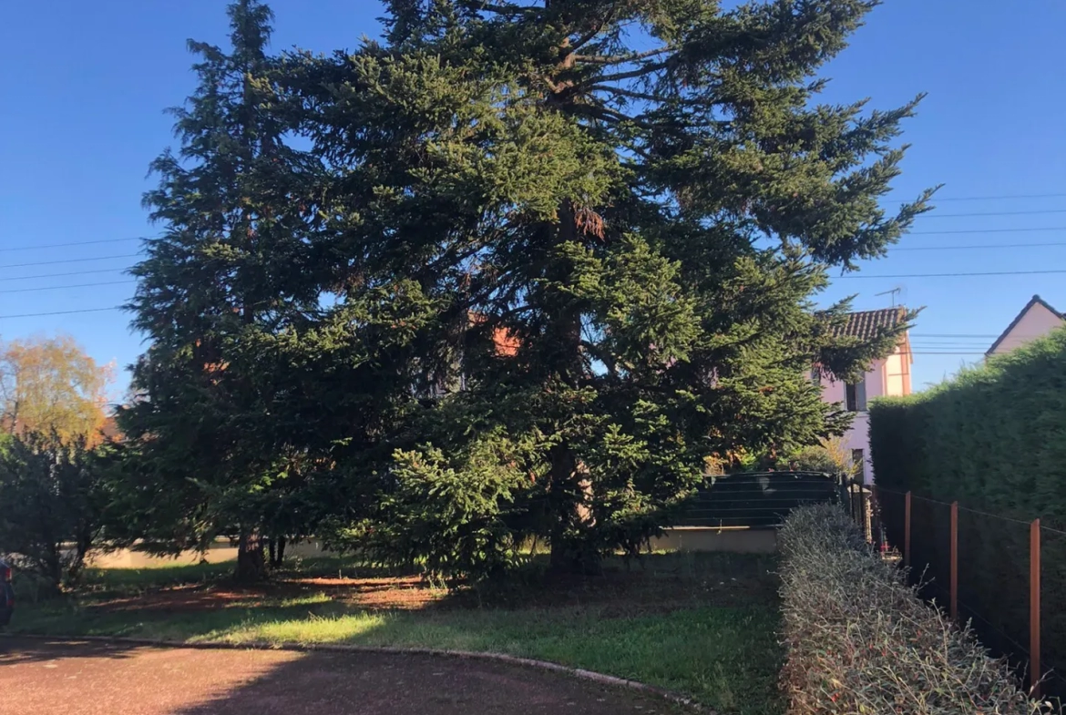 Belle maison spacieuse à Bellerive sur Allier 