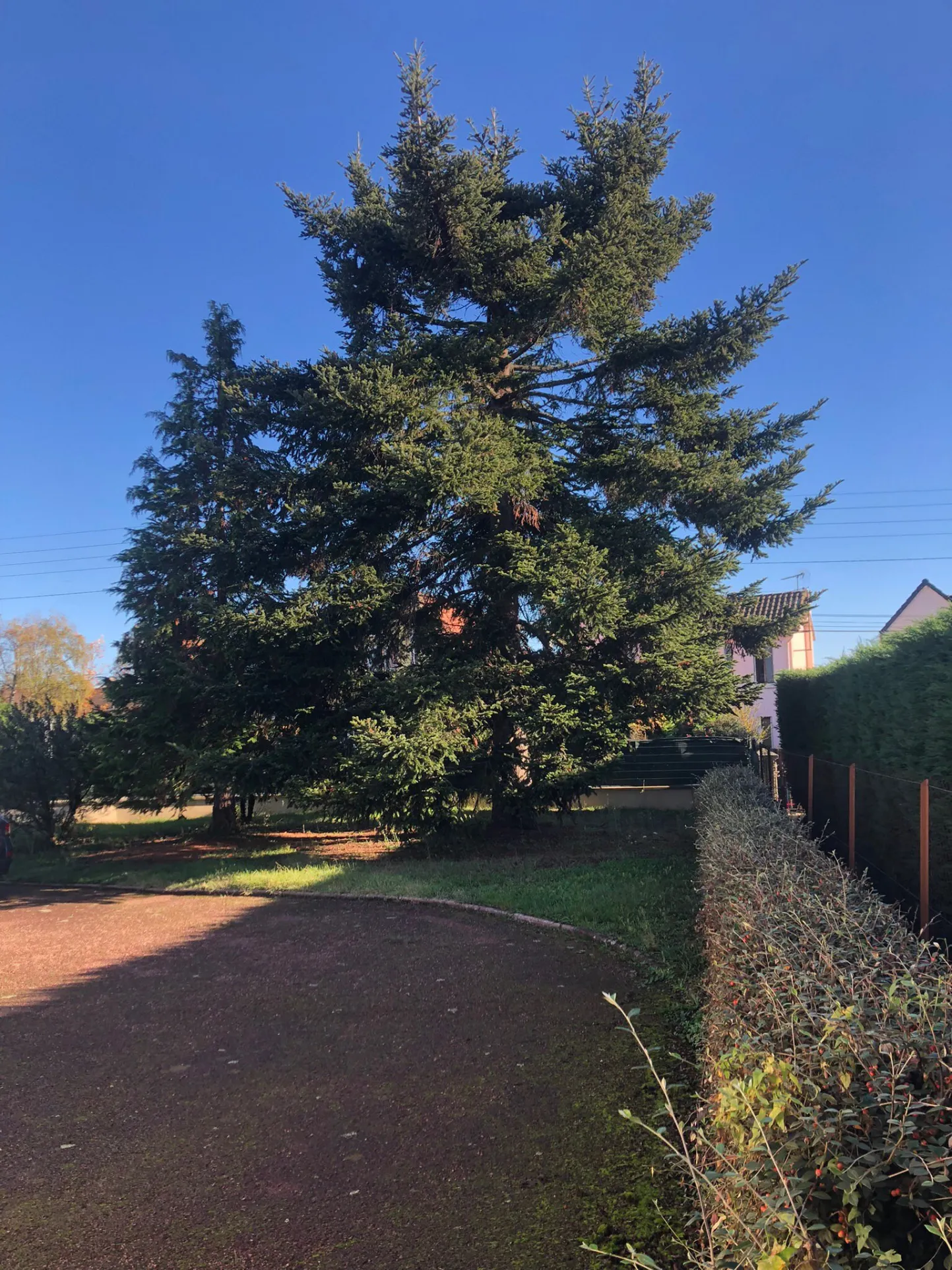 Belle maison spacieuse à Bellerive sur Allier 