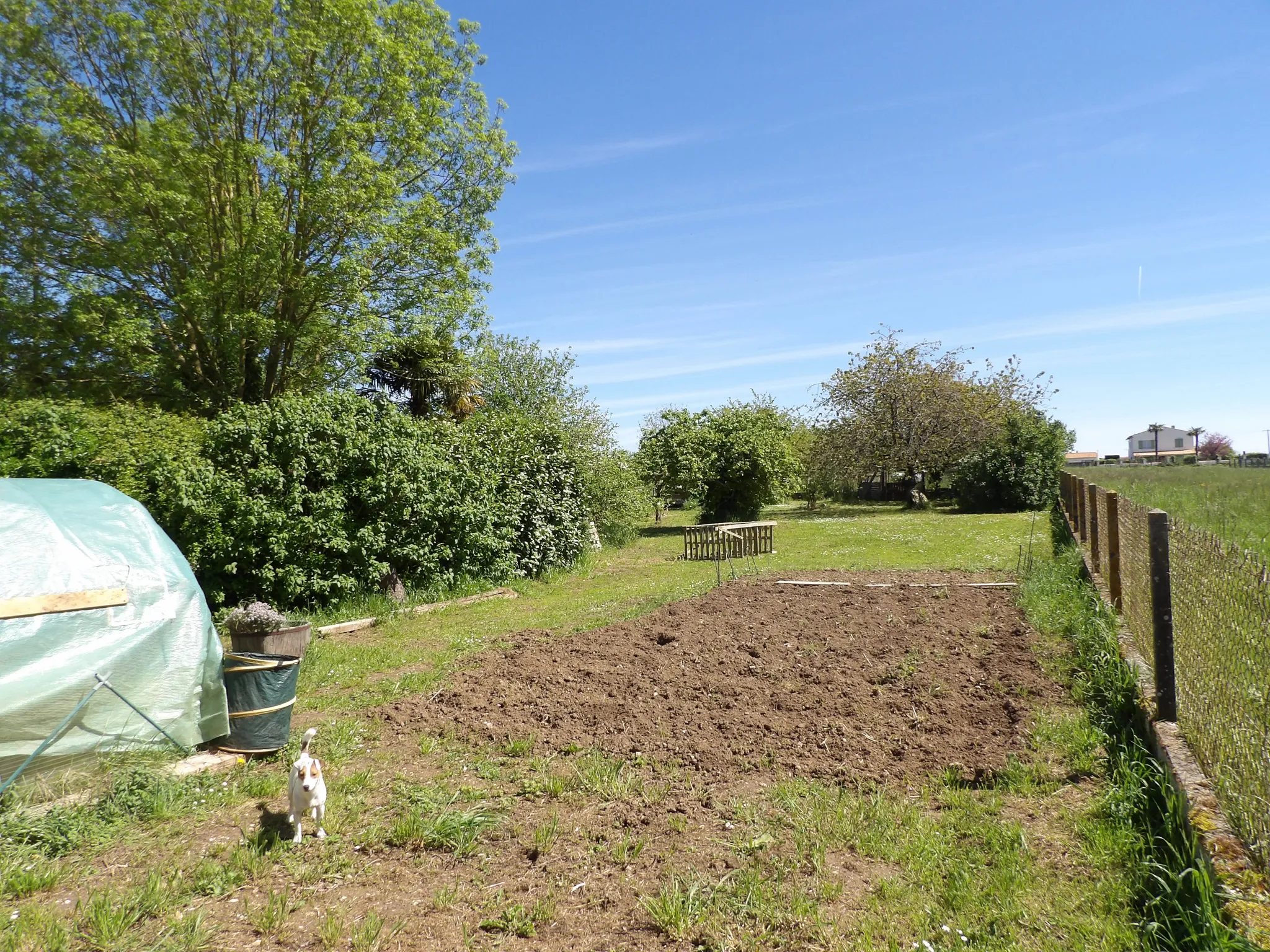 Maison à rénover avec 3 chambres et jardin à St Savinien 