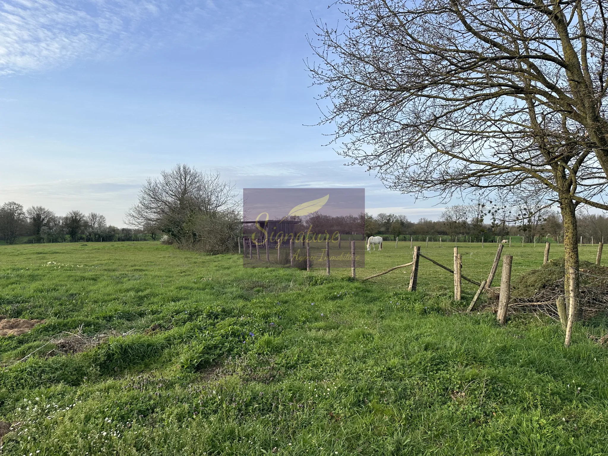 Superbe Pavillon sur 1ha avec Pré pour Chevaux 