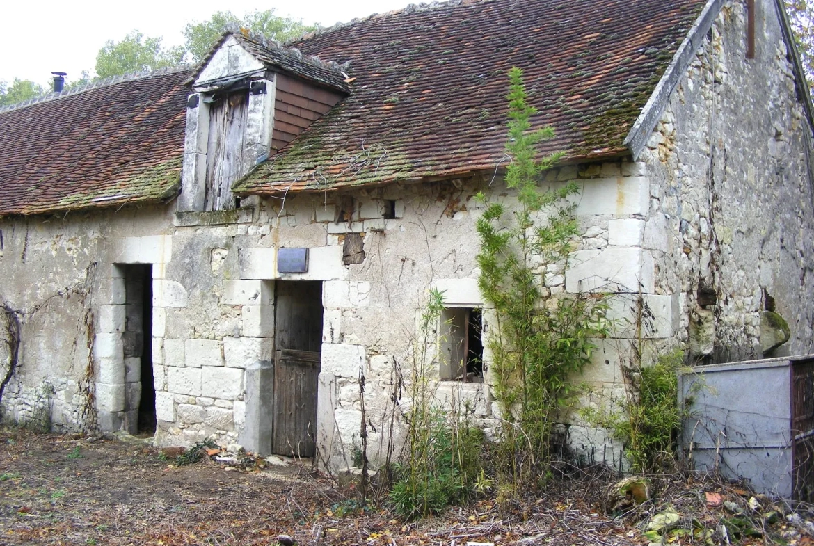 Ensemble de 3 Bâtiments à Rénover sur 8717 m2 de Bois 