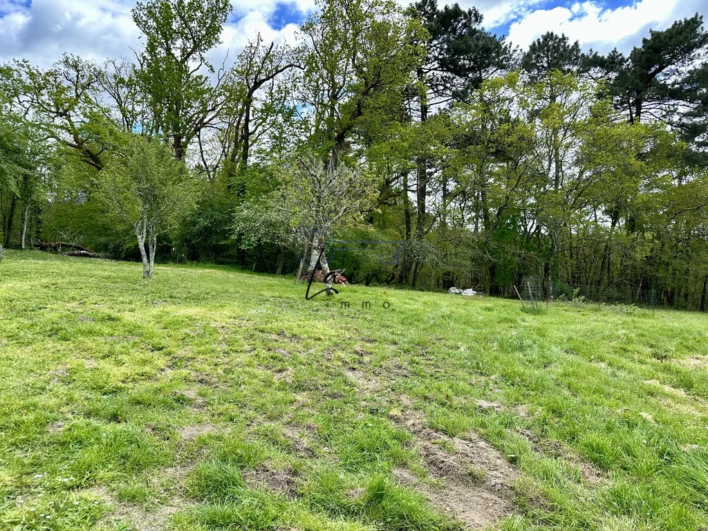 Charmante ferme avec 3 Chambres, Cuisine Ouverte et Vastes Espaces à Bergerac 24100 