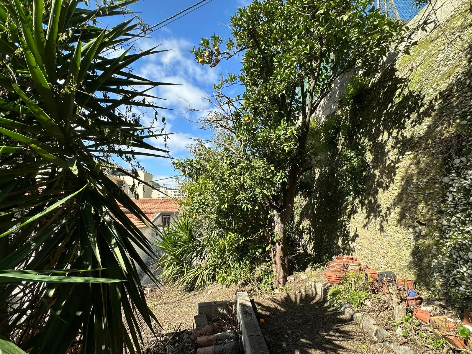 Maison individuelle avec jardin à Nice 