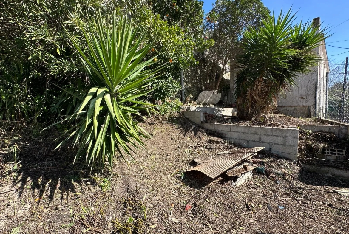 Maison individuelle avec jardin à Nice 