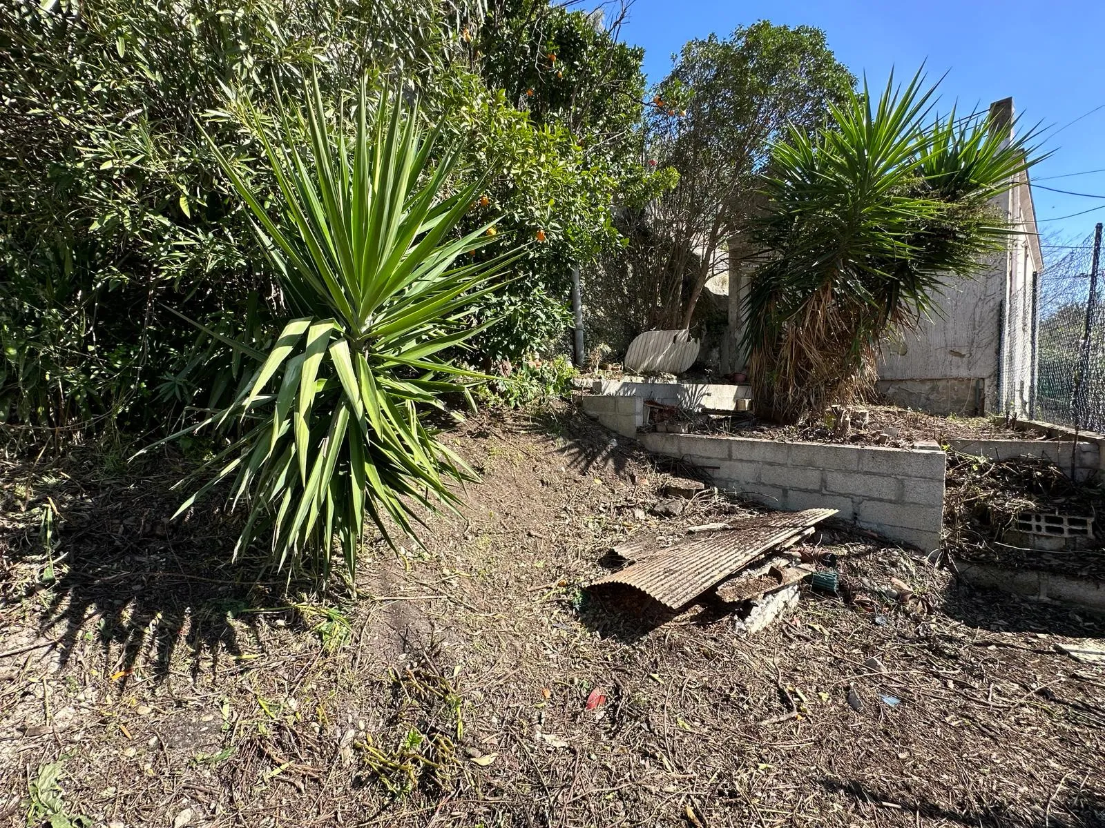 Maison individuelle avec jardin à Nice 