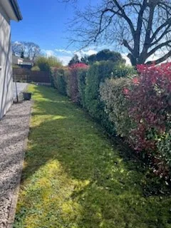 Pavillon moderne avec jardin à Ruelle sur touvre 