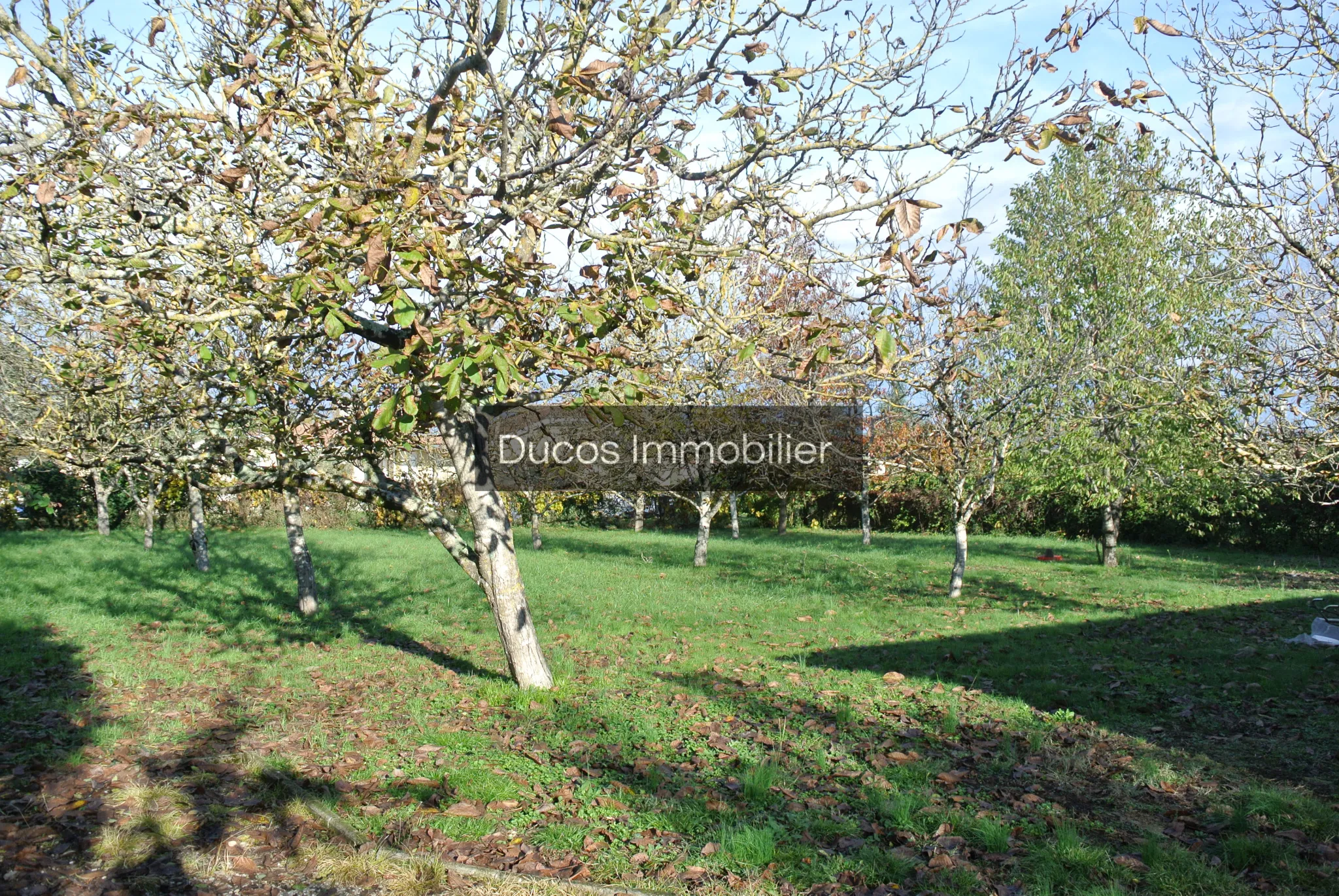 Maison de plain-pied rare sur le secteur à Beaupuy 