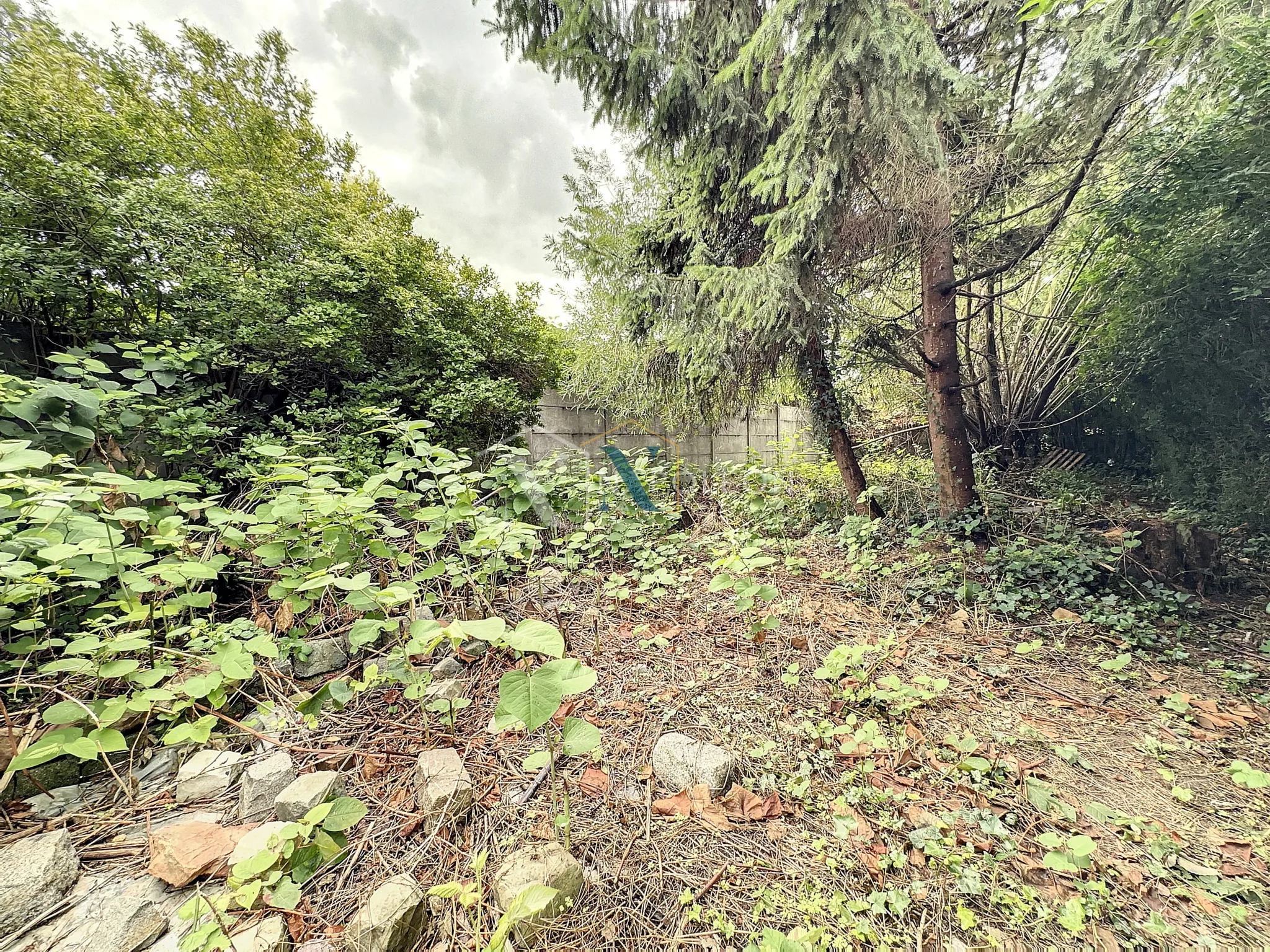 Maison 3 chambres avec un jardin de 200m2 à Lille 