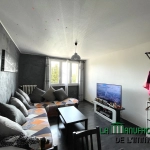 Appartement F3 traversant avec locataire en place - Cave - Centre 2/ Le Mont