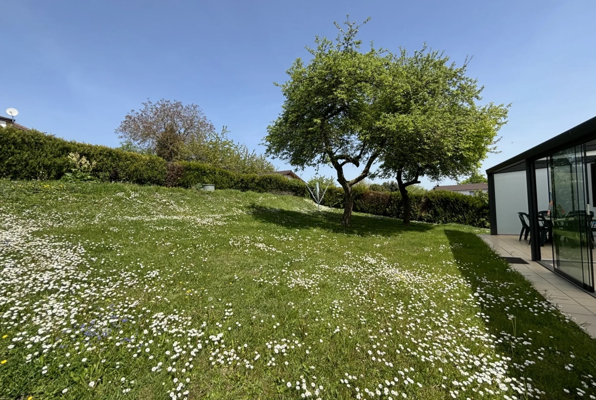 Charmante Maison Individuelle à HOMBOURG-HAUT 