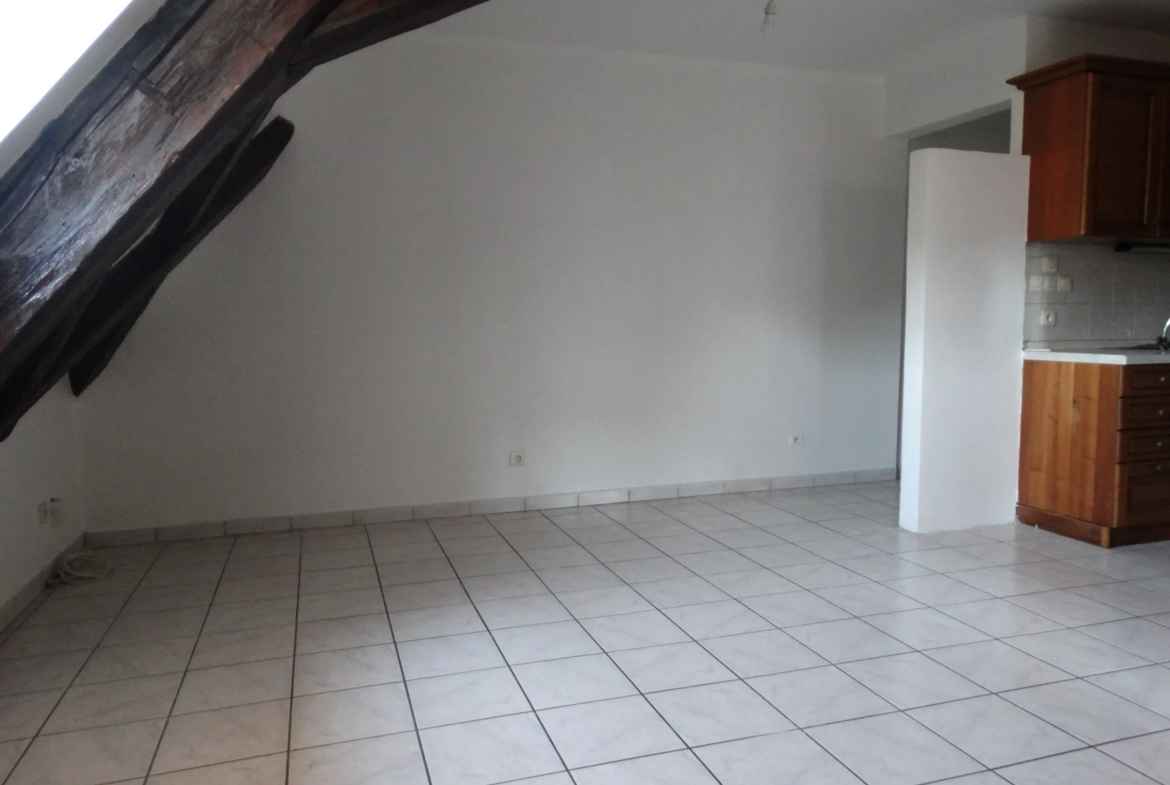 Appartement T3 de 46m2 au 2ème étage à Masevaux 