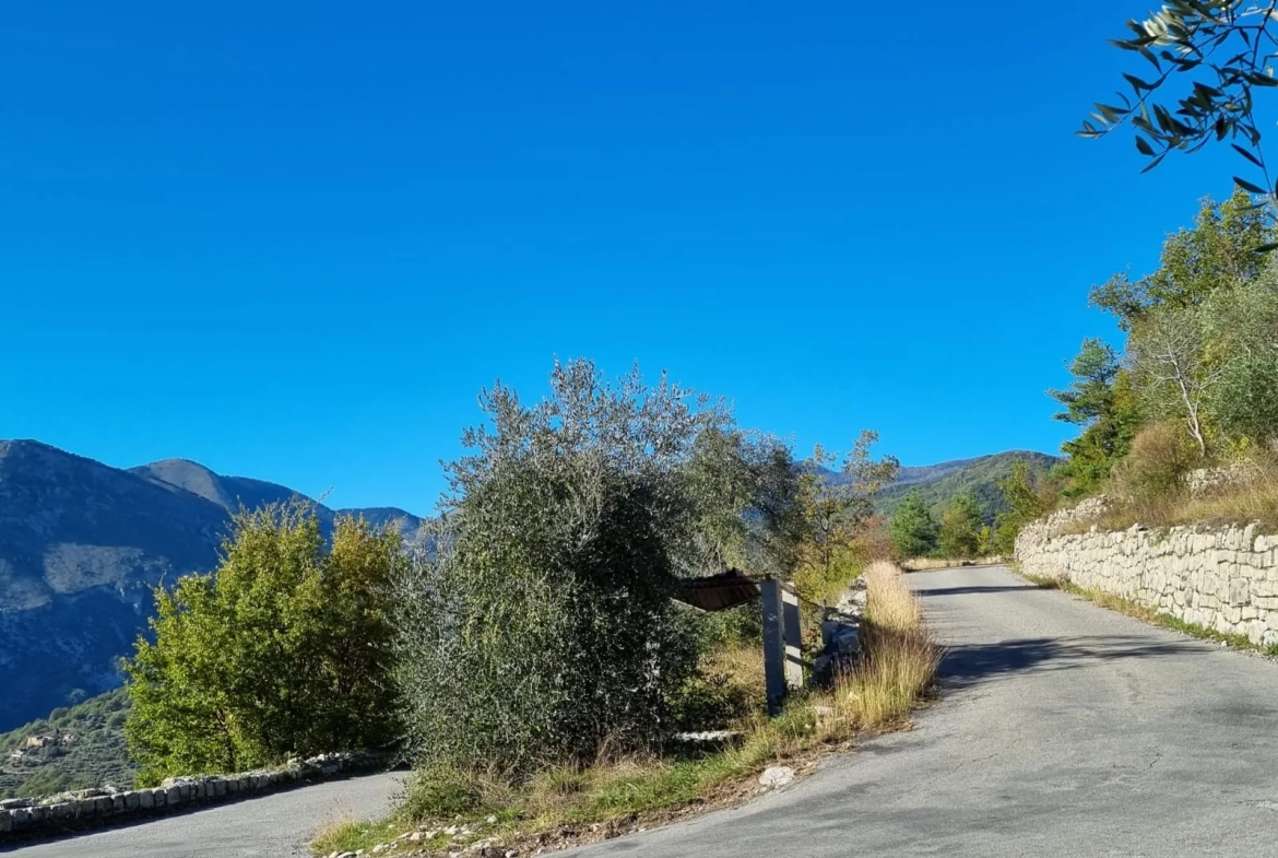 Propriété à Loda (Lantosque) avec vue panoramique sur la vallée 