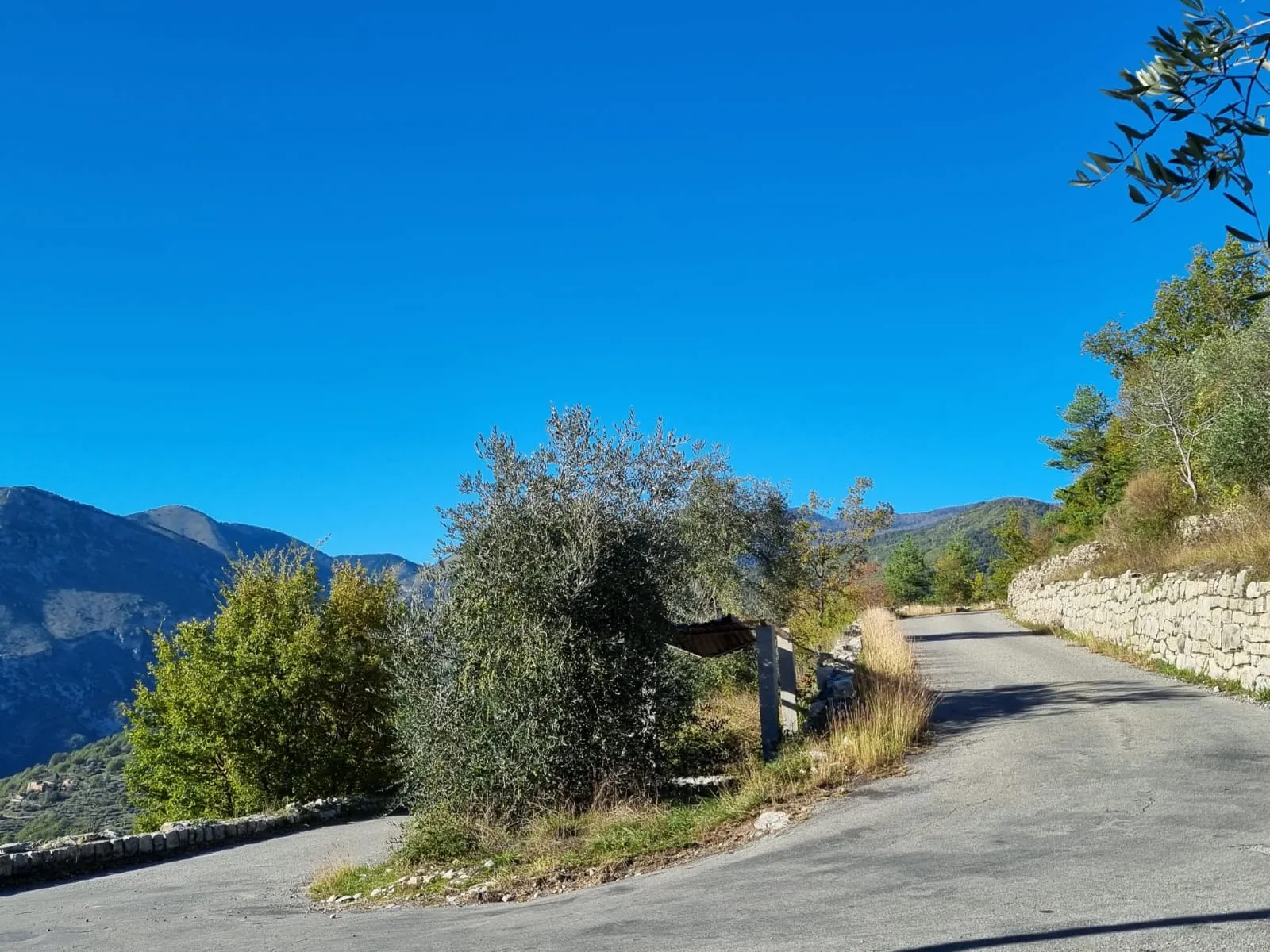 Propriété à Loda (Lantosque) avec vue panoramique sur la vallée 