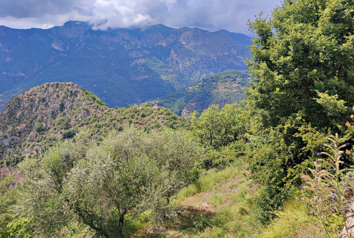 Propriété à Loda (Lantosque) avec vue panoramique sur la vallée 