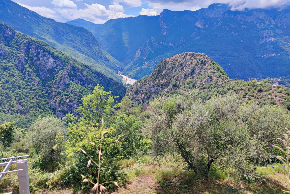 Propriété à Loda (Lantosque) avec vue panoramique sur la vallée 