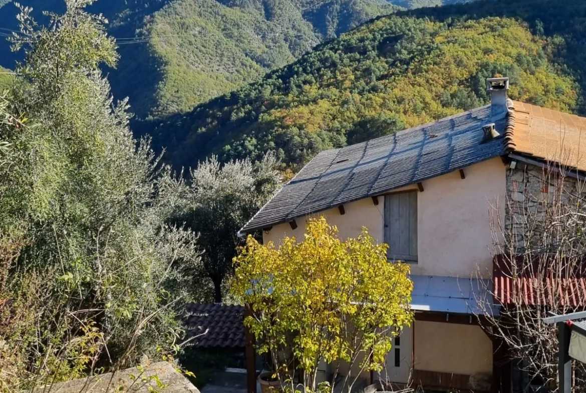 Propriété à Loda (Lantosque) avec vue panoramique sur la vallée 