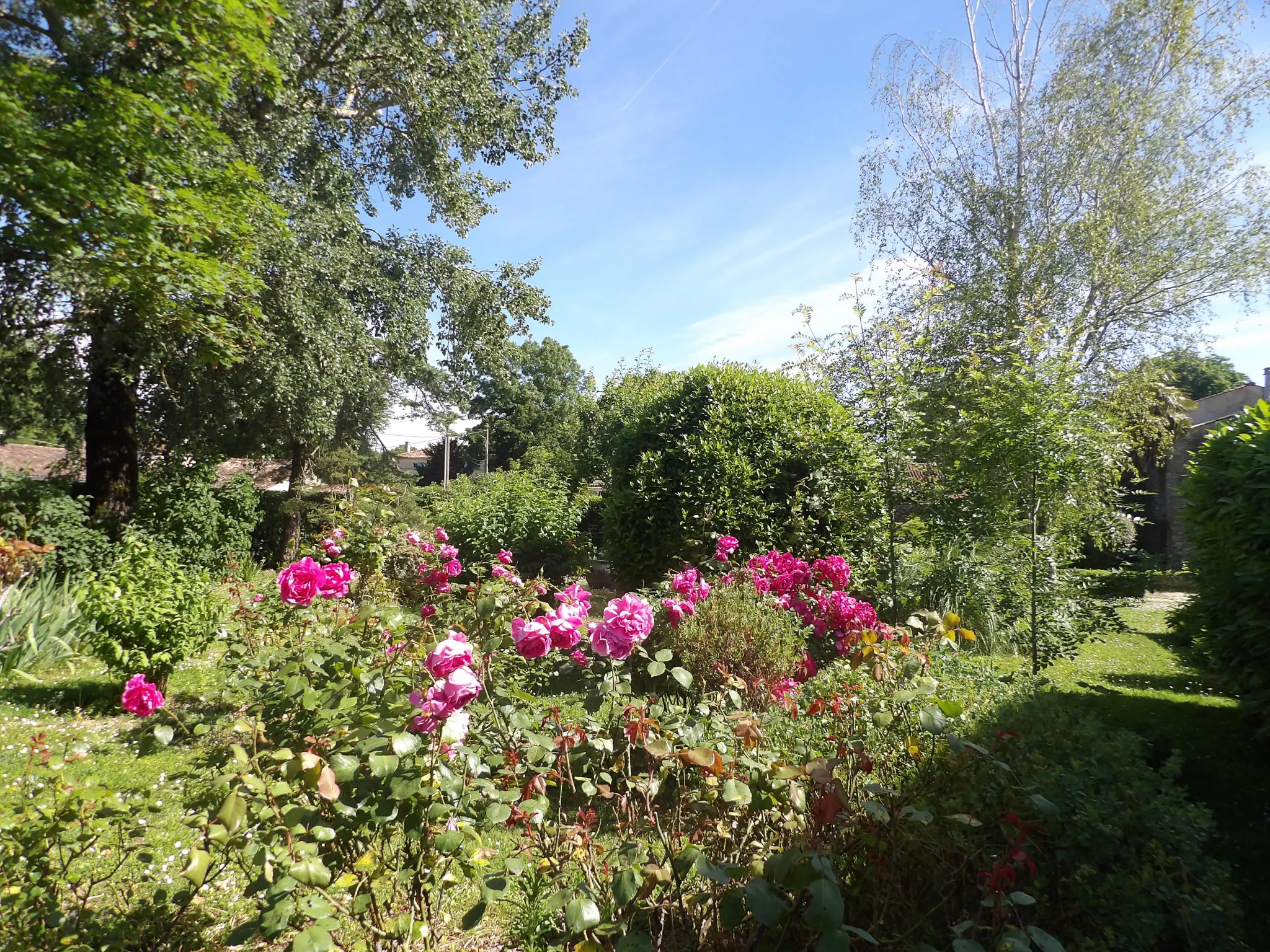 Maison Ancienne de 5 Pièces avec Jardin et Dépendances à Bazauges 