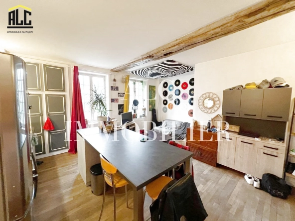 Immeuble de 180 m2 à Saint-Céneri-le-Gérei