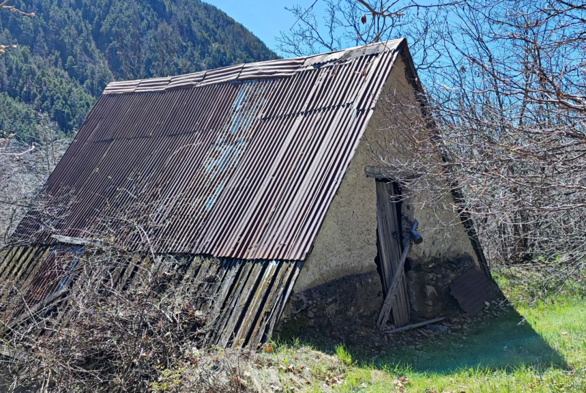 Terrain avec grange à Belvédère - Charme et potentiel à découvrir 