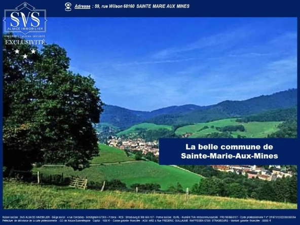 Immeuble de rapport avec local commercial et appartement en duplex à Sainte-Marie-Aux-Mines