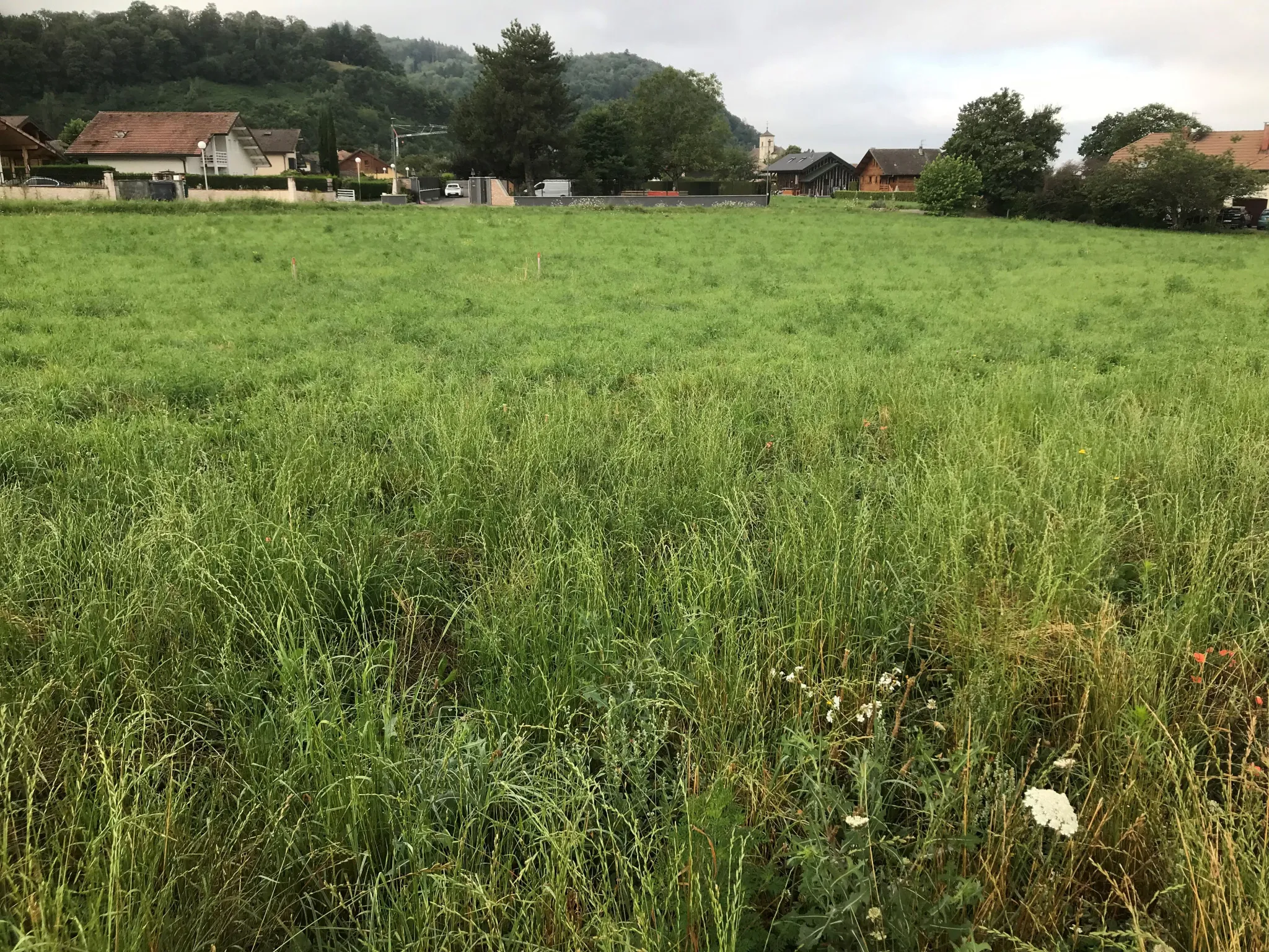 Terrain constructible au Lyaud (74200) 