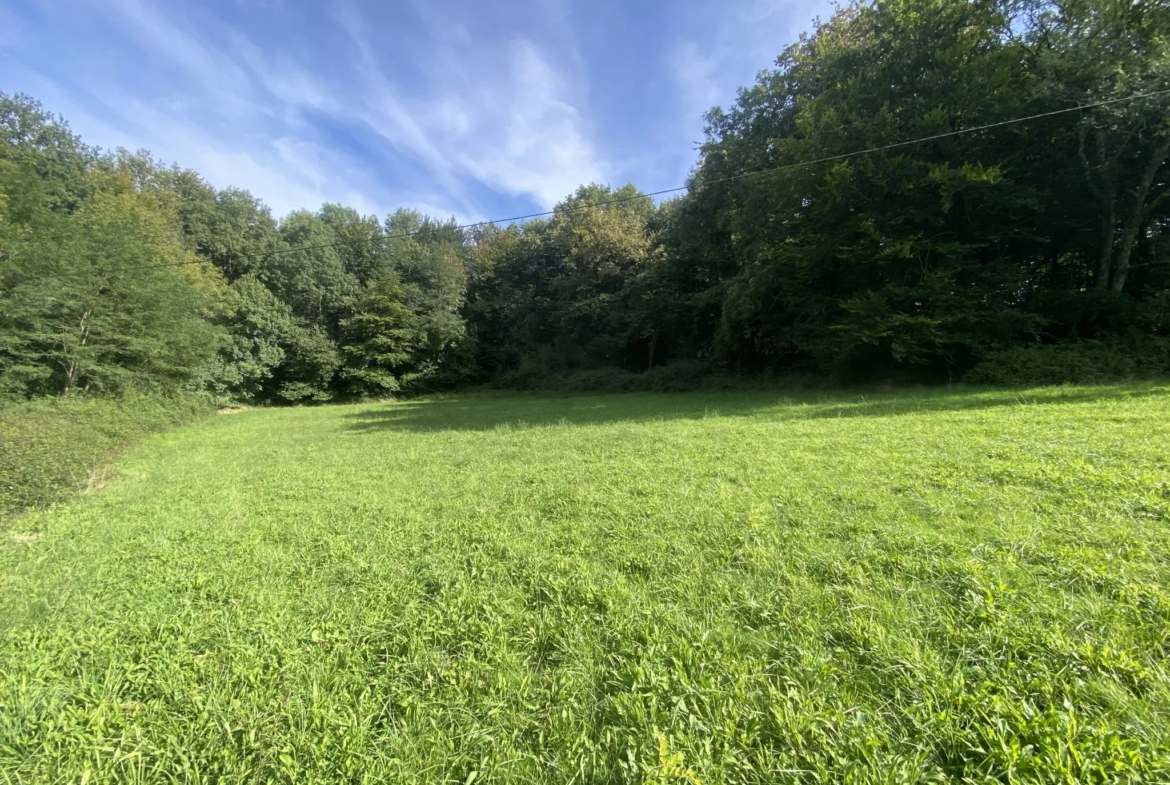 Terrain agricole à Lucq de Béarn 