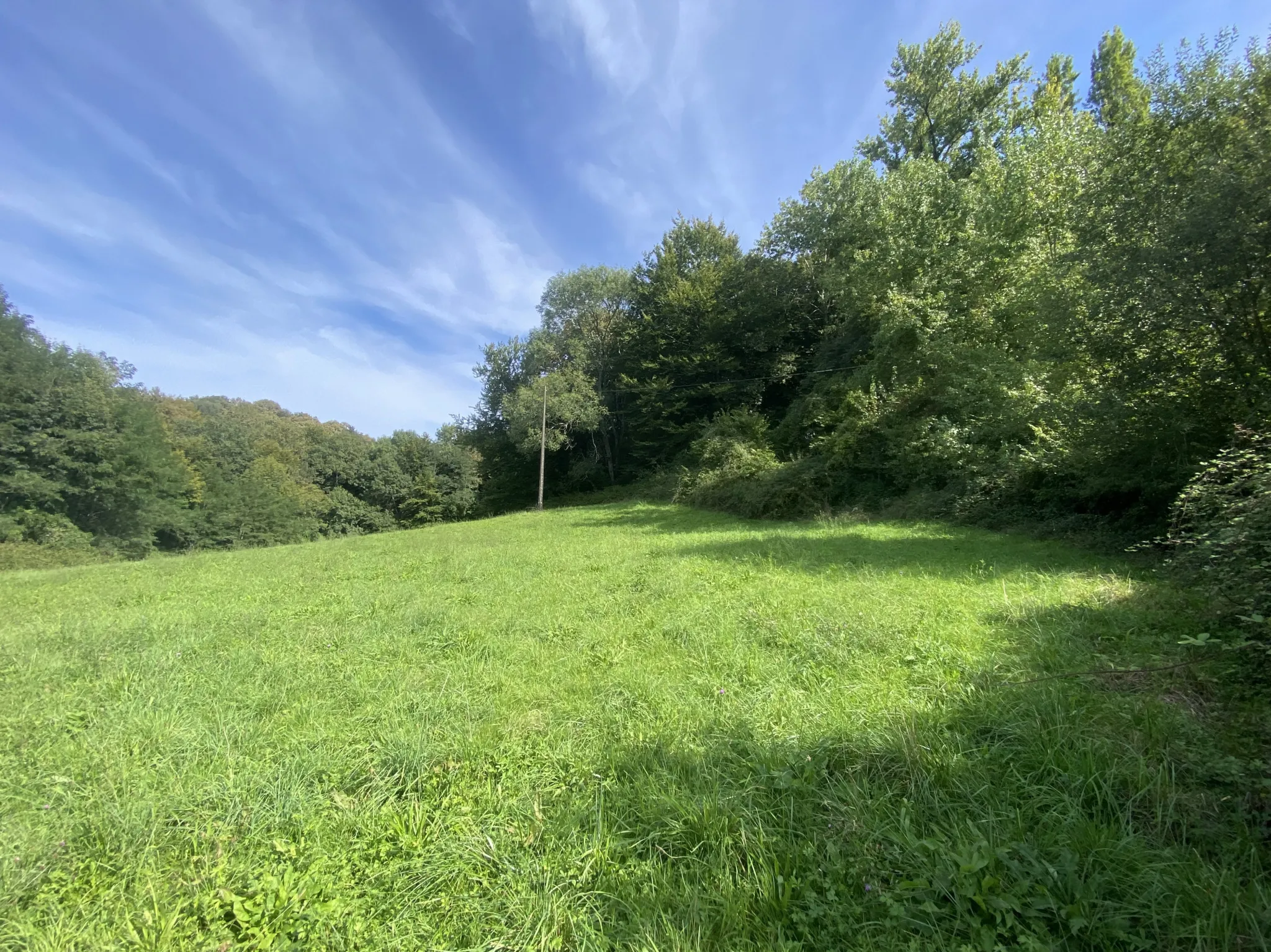 Terrain agricole à Lucq de Béarn 